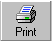 Print Button