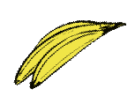 Tropical Bannanas