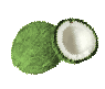 Tropical Coconut